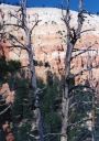 Bryce_Canyon09.jpg