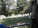 Arlington_Cemetery~0.jpg