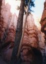 Bryce_Canyon10.jpg